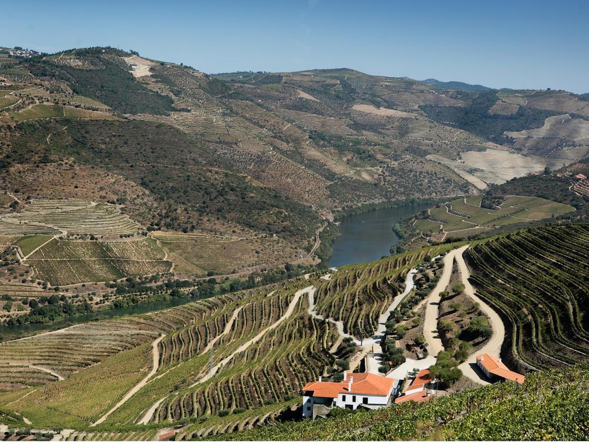 Quinta Da Gricha Hotell Ervedosa do Douro Exteriör bild