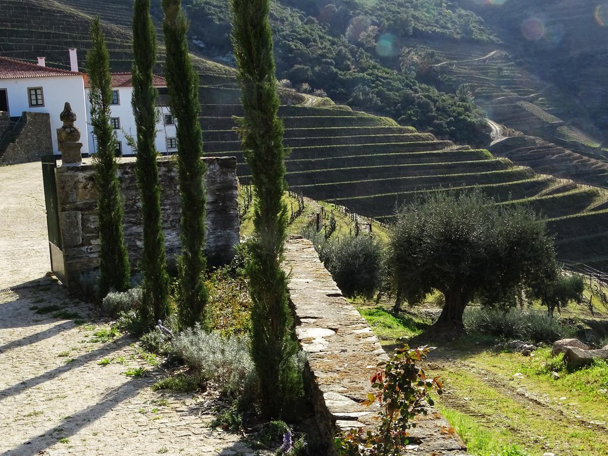 Quinta Da Gricha Hotell Ervedosa do Douro Exteriör bild