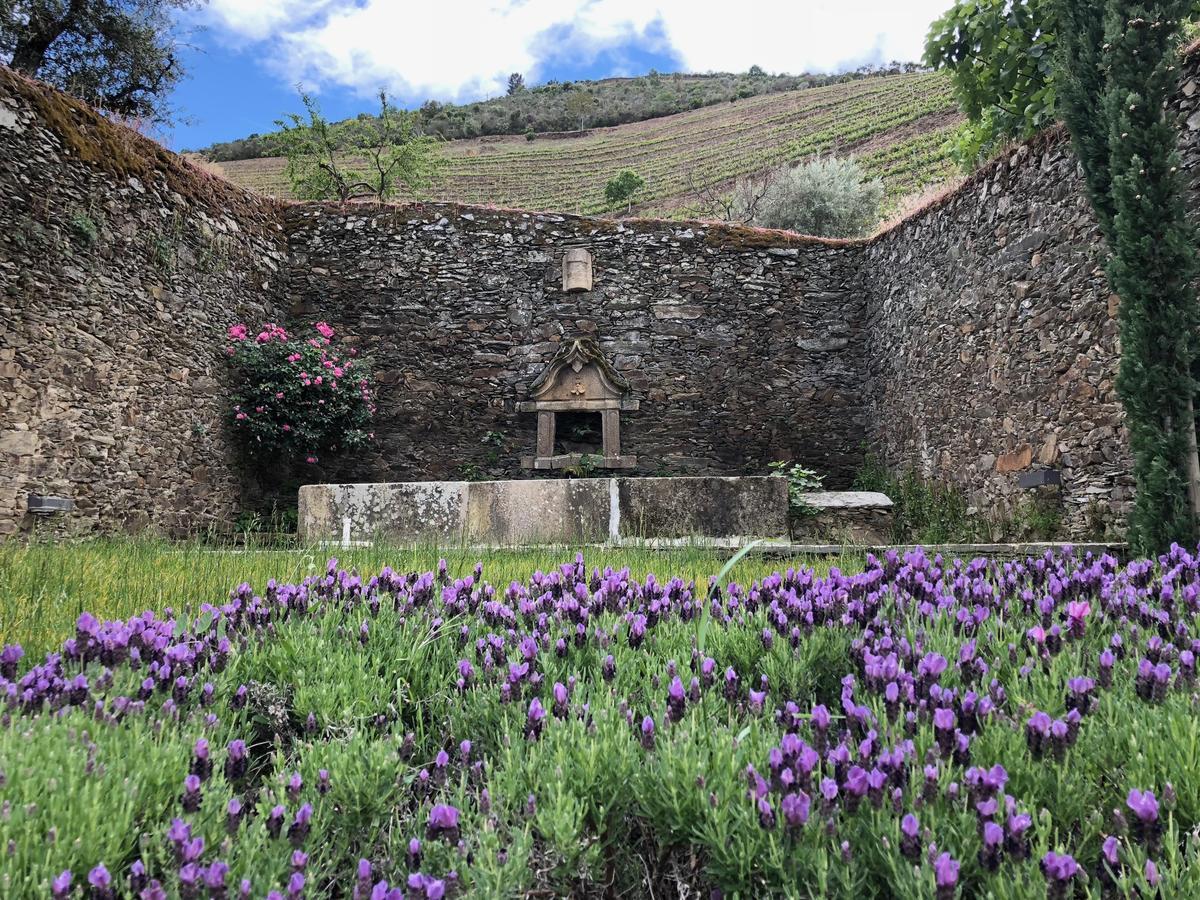 Quinta Da Gricha Hotell Ervedosa do Douro Exteriör bild